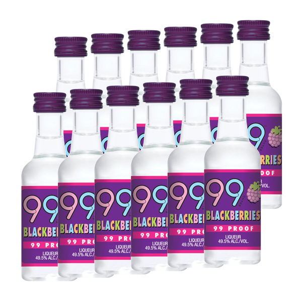 99 Liqueur 99 Blackberries 12 Pack Liqueur
